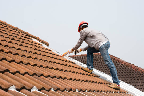 Best Metal Roofing Installation  in San Mateo, CA