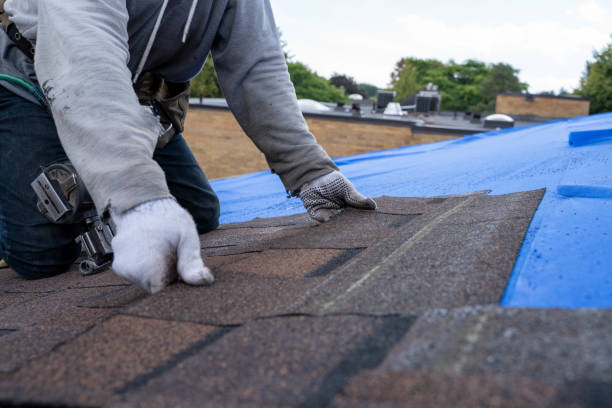 Best Roof Moss and Algae Removal  in San Mateo, CA